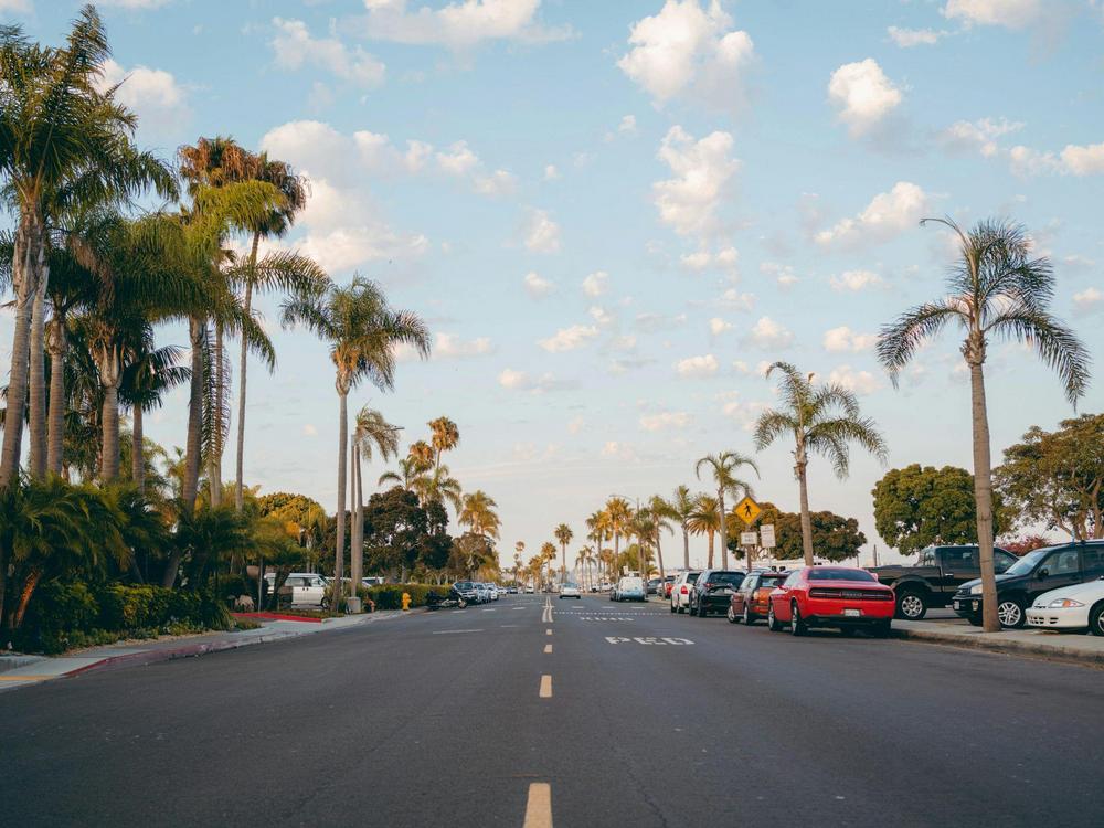 A road line with cars and palm trees